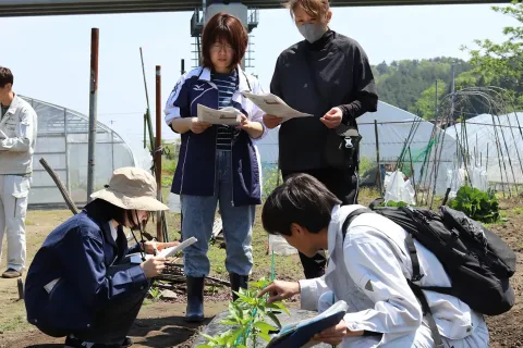 ピーマン定植の要点確認　<br>現地定植指導会