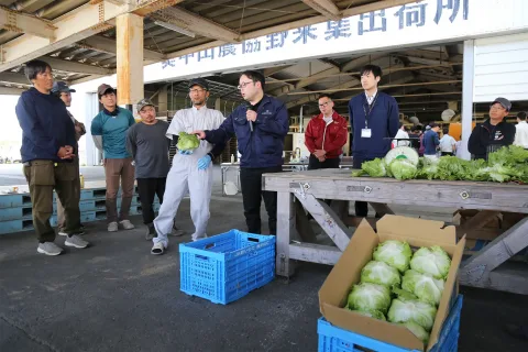 奥中山高原レタス出荷始まる　<br>販売１０億円目指す