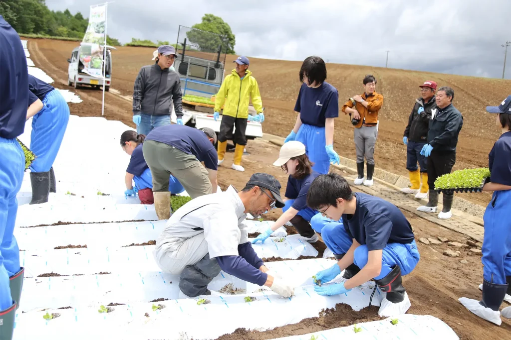 定植作業の体験の様子