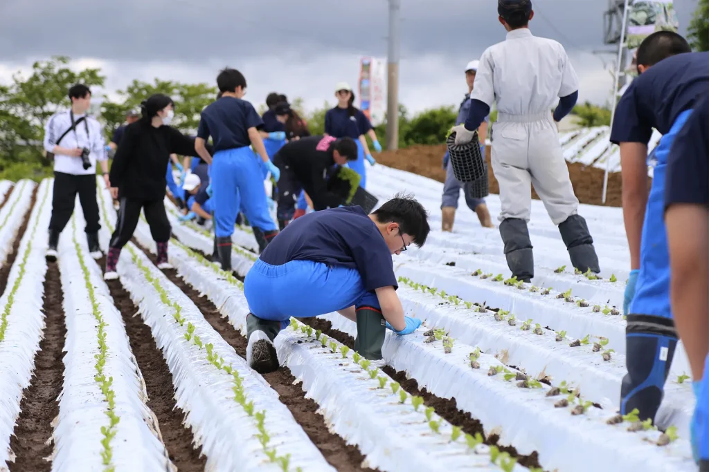 定植作業の体験の様子