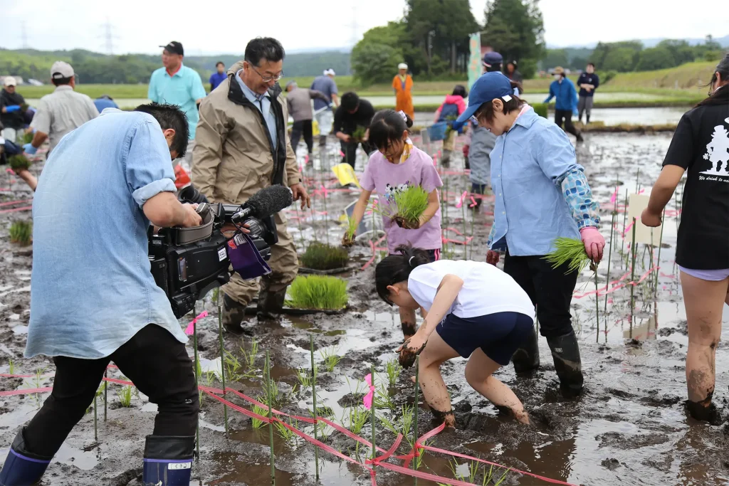 田んぼアートの田植えをする様子
