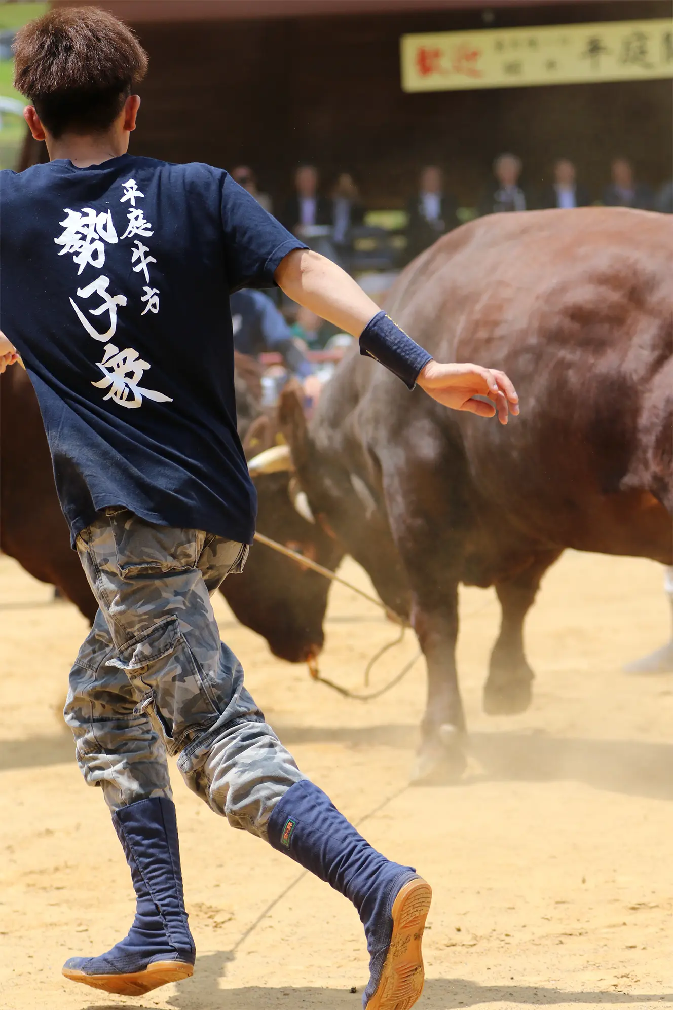 平庭闘牛大会つつじ場所のようす