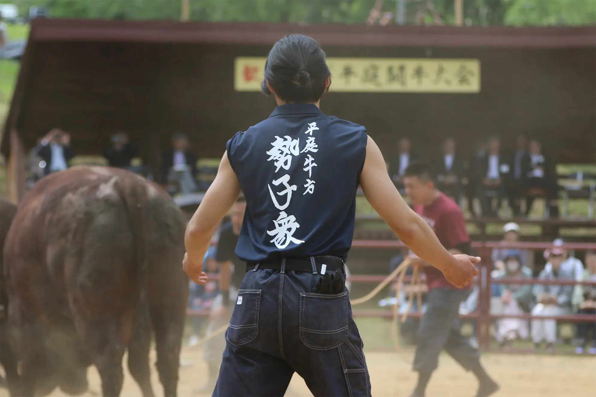 平庭闘牛大会つつじ場所のようす