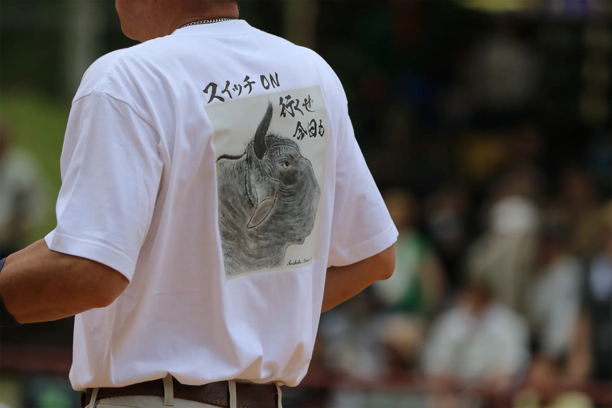 平庭闘牛大会つつじ場所のようす