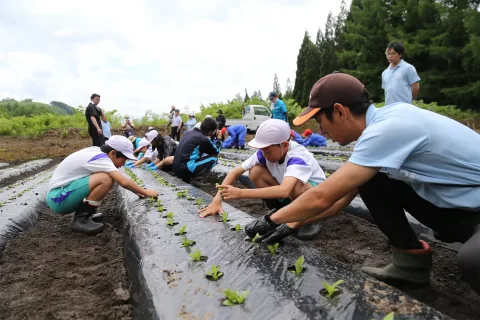 小学生が花育授業でリンドウ学ぶ　<br>定植など体験