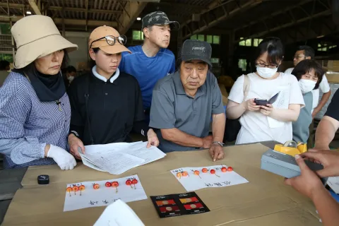 前年並み６．５トン計画　<br>サクランボ目揃い会