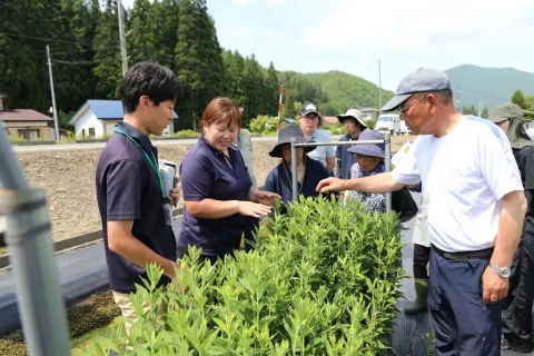 リンドウ圃場巡回　<br>就農者学ぶ場に
