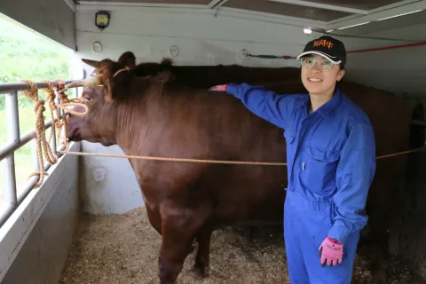 山形村短角牛の生産から精肉加工販売まで　<br>育てた牛の初出荷