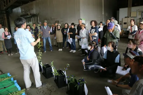 「安代りんどう」まもなく　<br>出荷規格指導会で規格確認