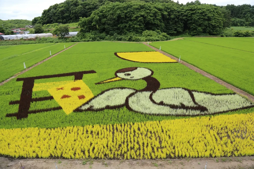 浮島地区の田んぼアート