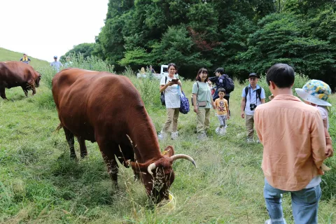 消費者が短角牛と触れ合う　<br>里と都市を結ぶ集い「べこツアー」