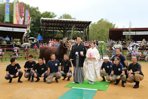 迫力の闘牛にファン歓声　<br>闘牛ウェディングも初開催