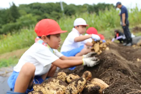 じゃがいも収穫体験　<br>岩手町立一方井小学校