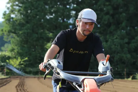 冬の味覚「寒じめほうれんそう」　<br>播種スタート