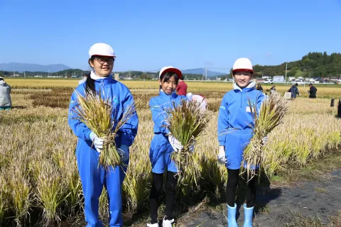 田んぼアート稲刈りに挑戦　<br>岩手町立一方井小学校