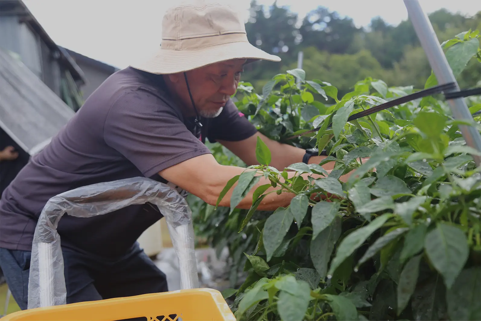 作業風景の様子写真
