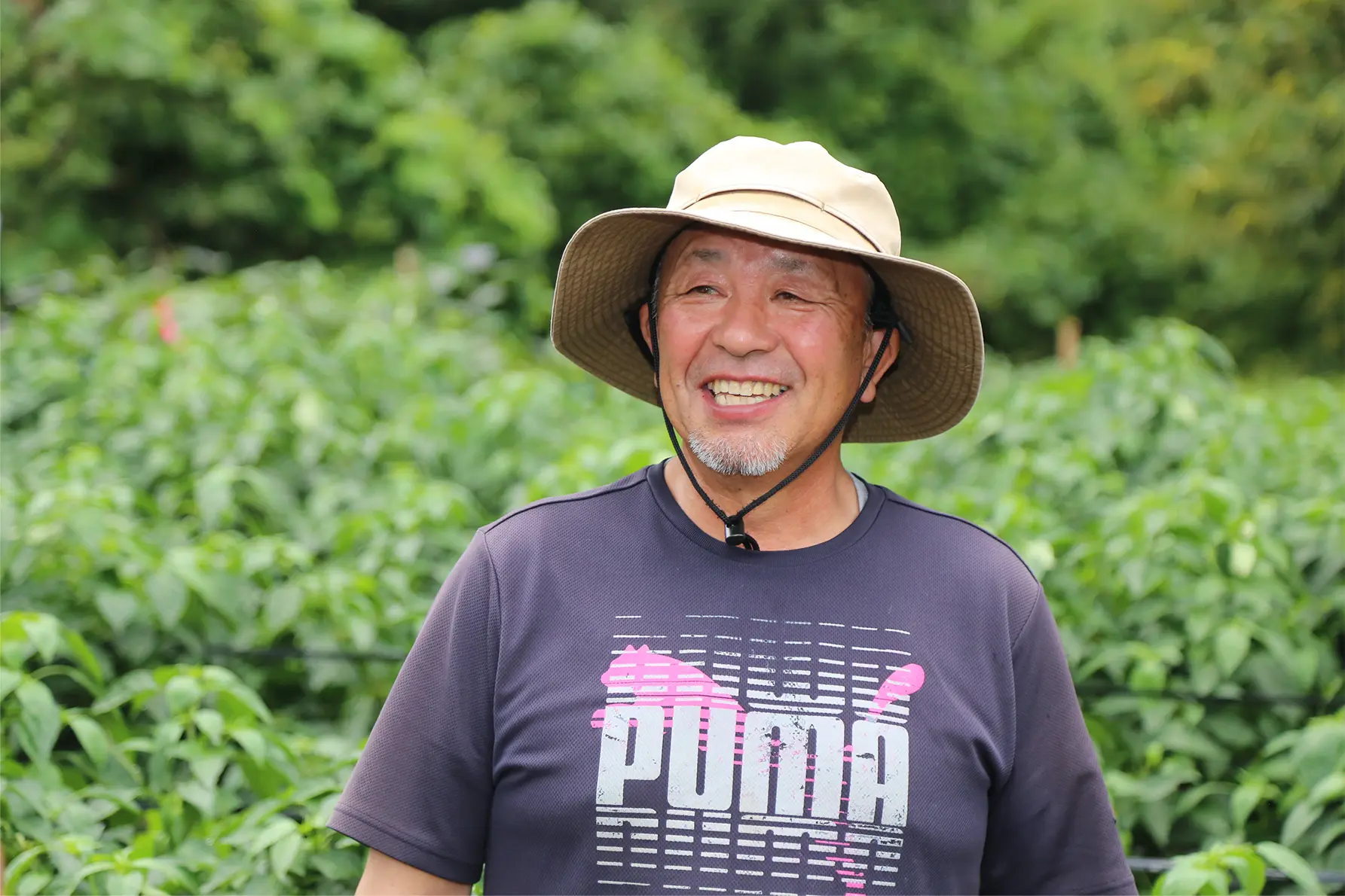 作業の様子写真