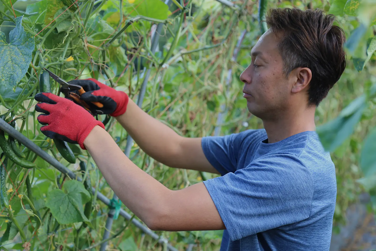 作業風景の様子写真