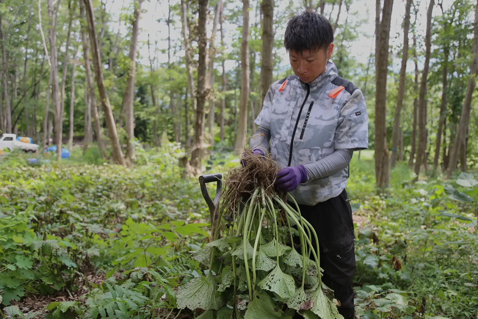 作業風景の様子写真