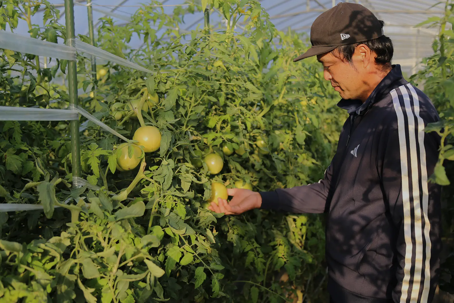 作業風景の様子写真