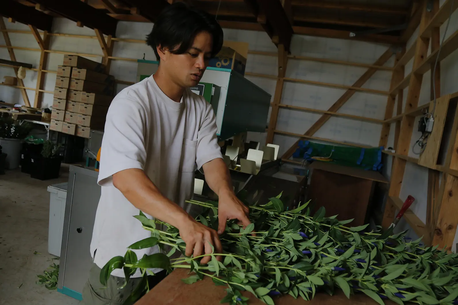 作業風景の様子写真