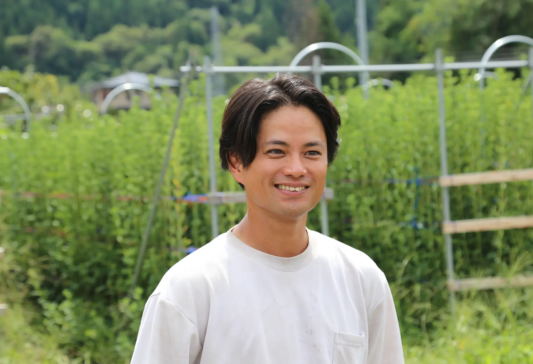 作業の様子写真