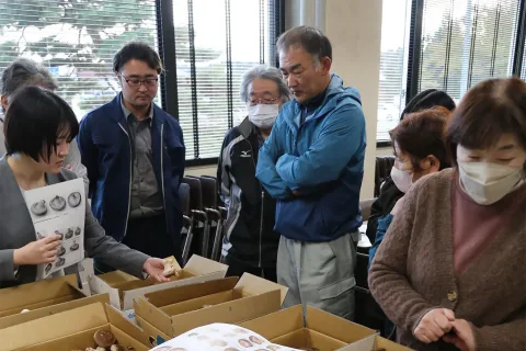 菌床シイタケ目揃い会　<br>本格出荷前に規格確認