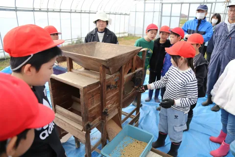 昔ながらの大豆の脱穀作業を体験　<br>岩手町立一方井小