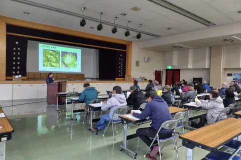 品種特性学ぶ　<br>レタス品種勉強会