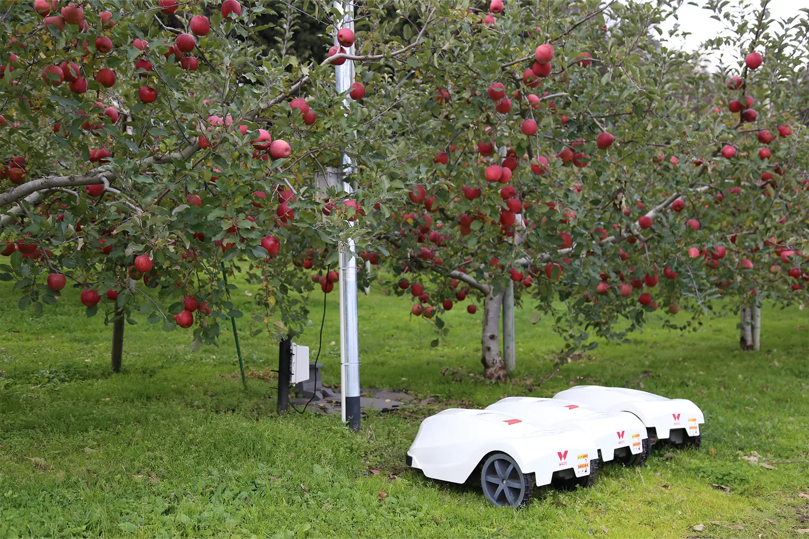 農場に導入された機材