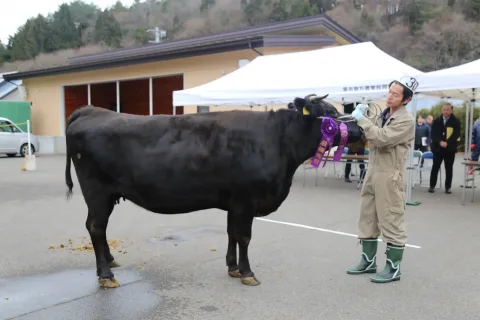 最優秀賞に合砂さん　<br>宮古地方黒毛和種共進会