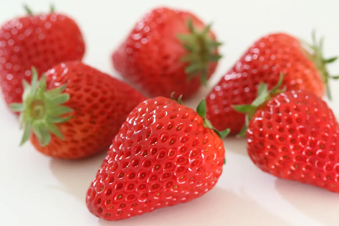 プレゼント画像