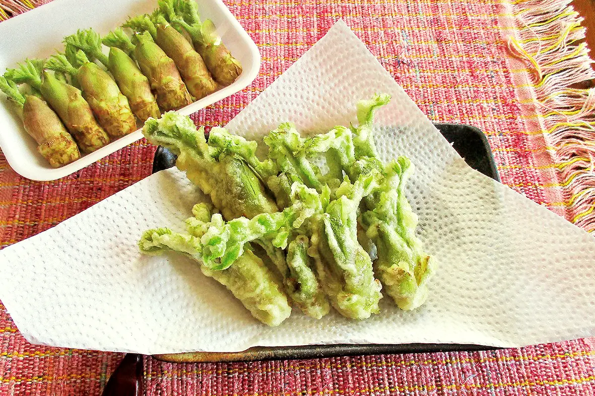 タラの芽の天ぷら