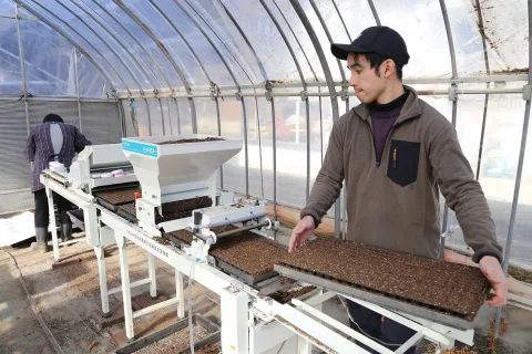 ブロッコリー播種スタート　<br>販売額１億円めざす