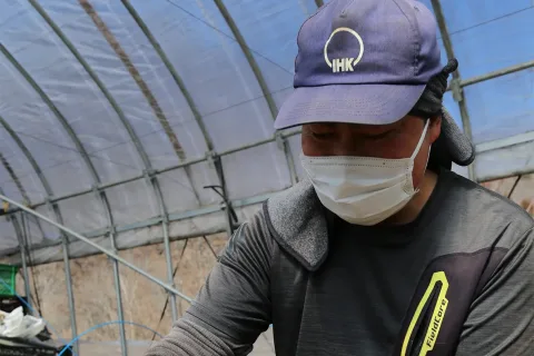 「アンジェレ」播種進む　<br>省力化で高い期待