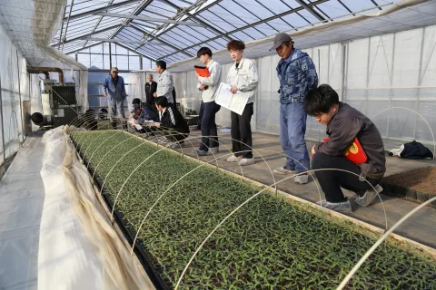 温度管理など確認　<br>トマト栽培指導講習会
