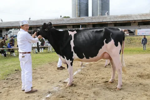 石川さん、清水さんグランドチャンピオンに　<br>第５１回陸中ホルスタインＢ＆Ｗショー