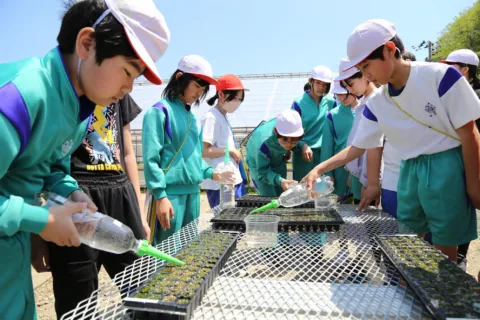 ブランド「安代りんどう」　<br>花育授業で学ぶ