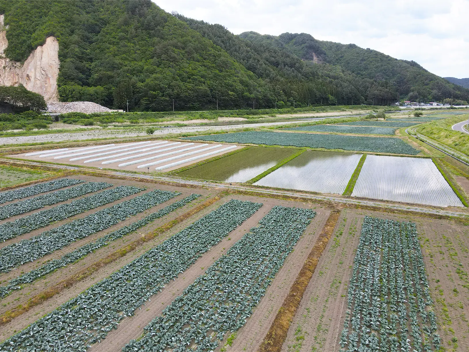 農場の様子
