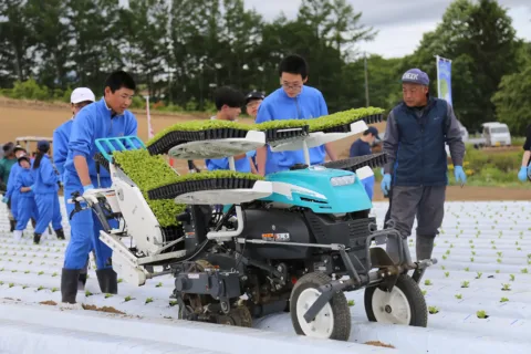 奥中山高原レタスの生産から販売まで体験　<br>地域の「宝」理解深める