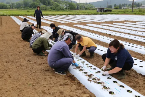 滝沢市の農家がリンドウ栽培学ぶ　<br>新規栽培者サポートで産地拡大