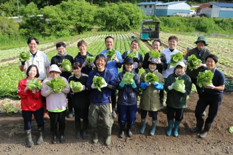 モスバーガー店員レタス収穫　<br>モスの産直野菜フェスタ