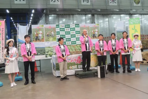 夏場の春系キャベツ　「いわて春みどり」　<br>ＪＡ新いわてと岩手町がＰＲ