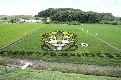 田んぼアート見頃　<br>岩手町浮島地区