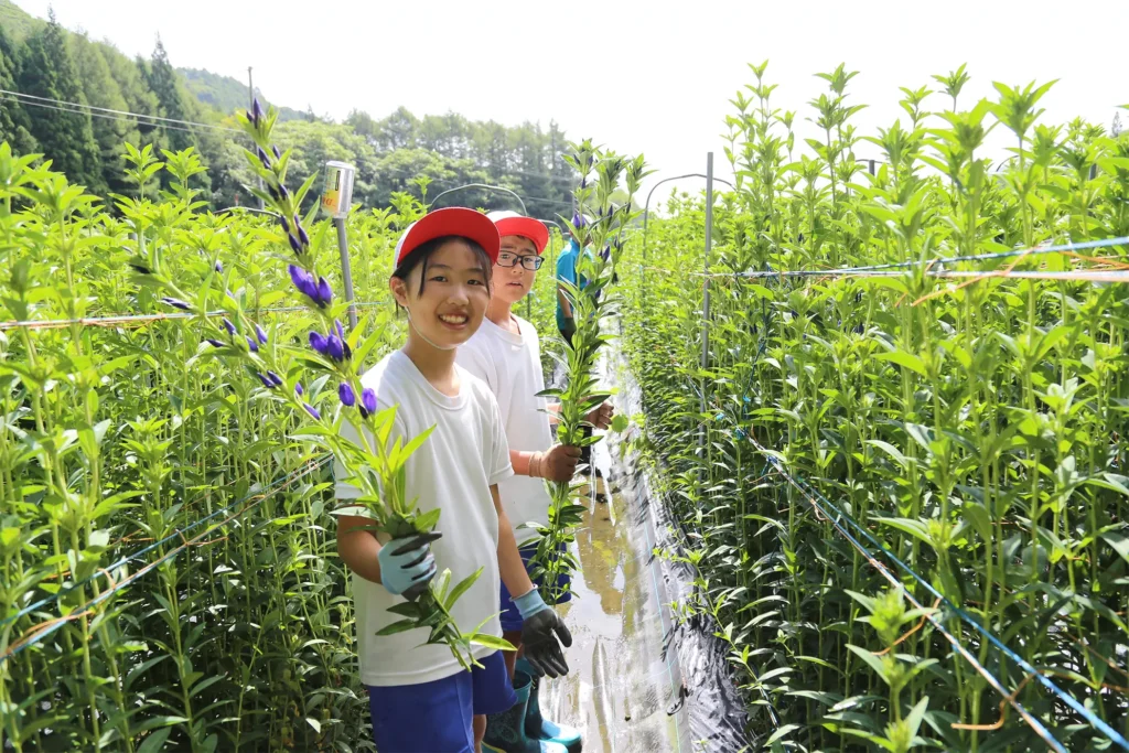 「花育」の授業のようす
