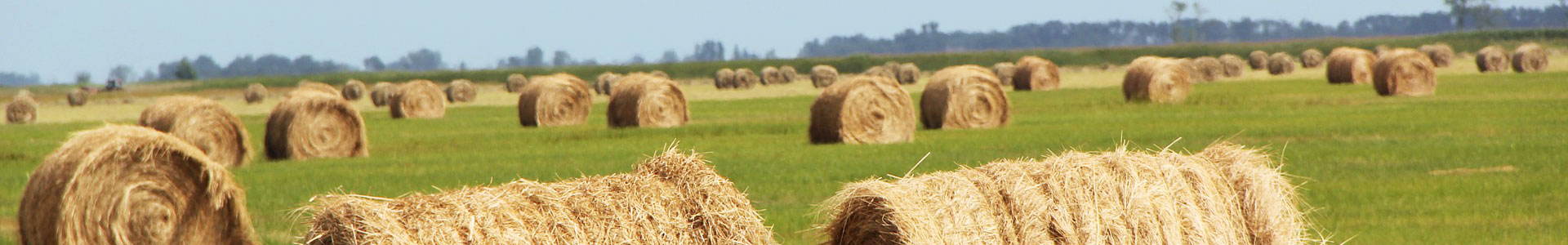 Jaいわて花巻 Jaいわてグループ