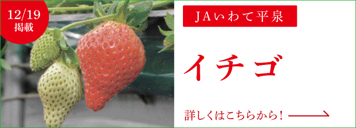 12月19日掲載 JAいわて平泉 イチゴ 詳しくはこちらから！
