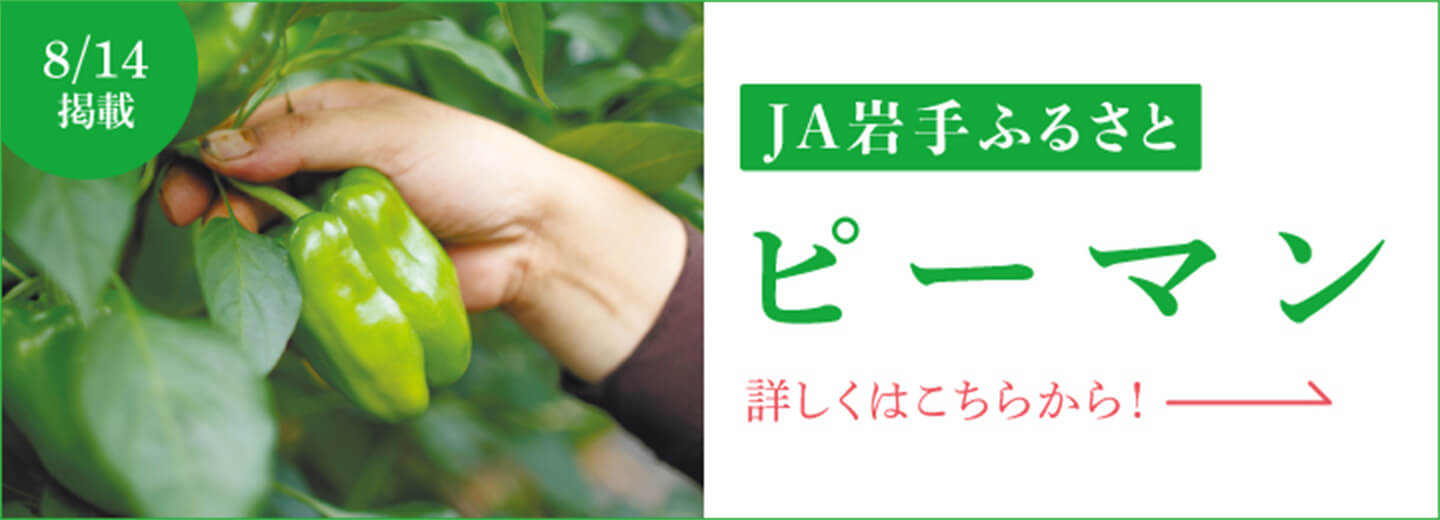 8月14日掲載 ＪＡ岩手ふるさと ピーマン 詳しくはこちらから！