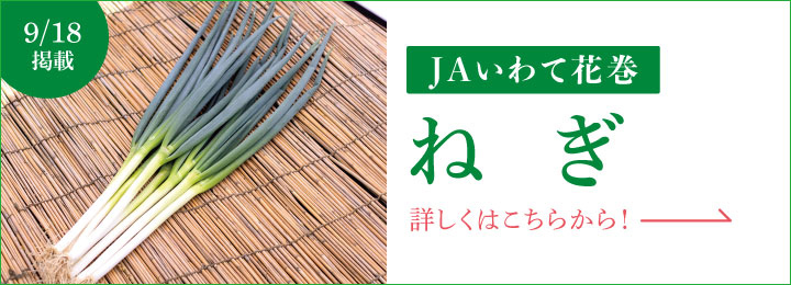 9月18日掲載 ＪＡいわて花巻 ねぎ 詳しくはこちらから！
