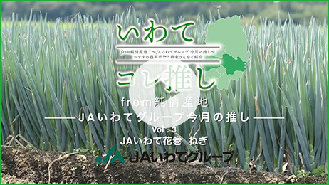 9月18日掲載 ＪＡいわて花巻 ねぎ 詳しくはこちらから！